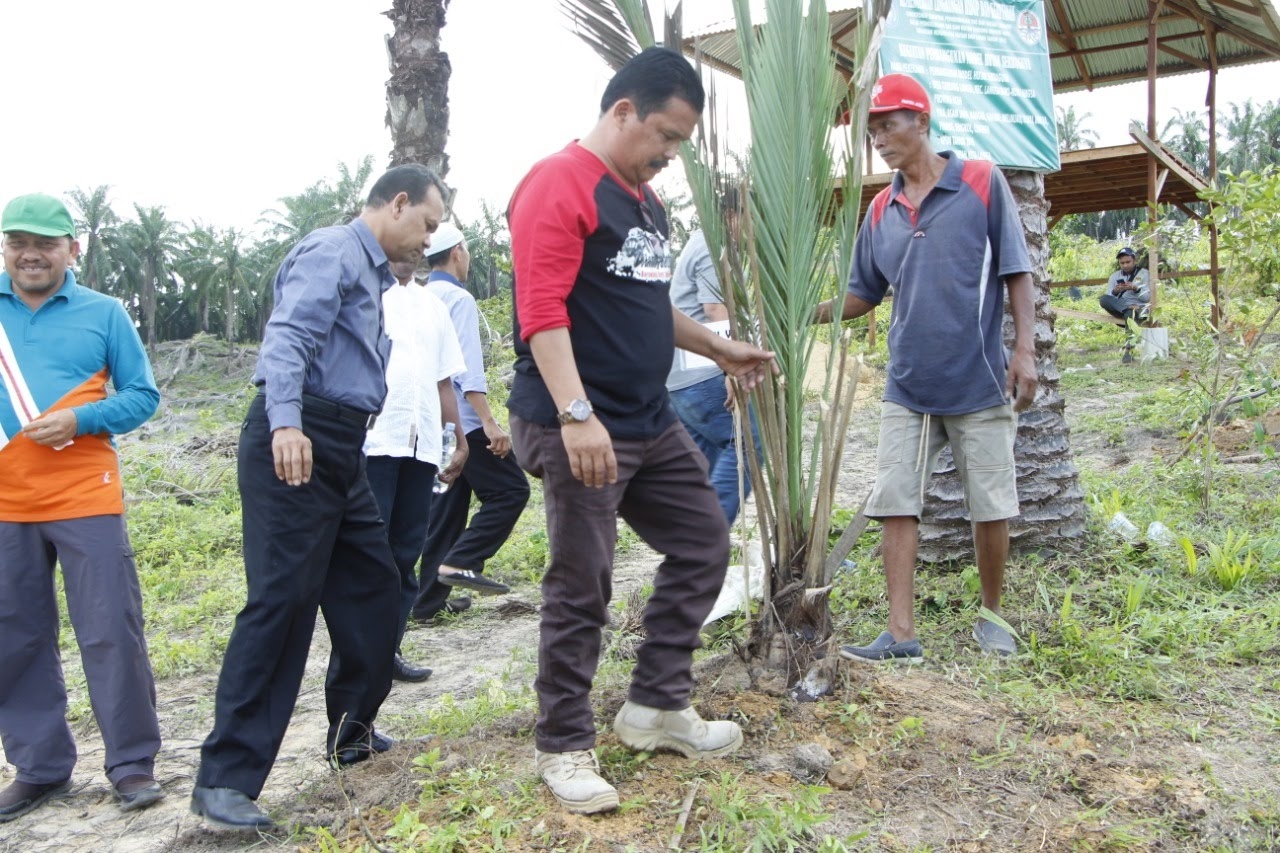 Dandim 0104/Atim Turut Sukseskan Go Langsa Green di Kebun Raya Kota Langsa