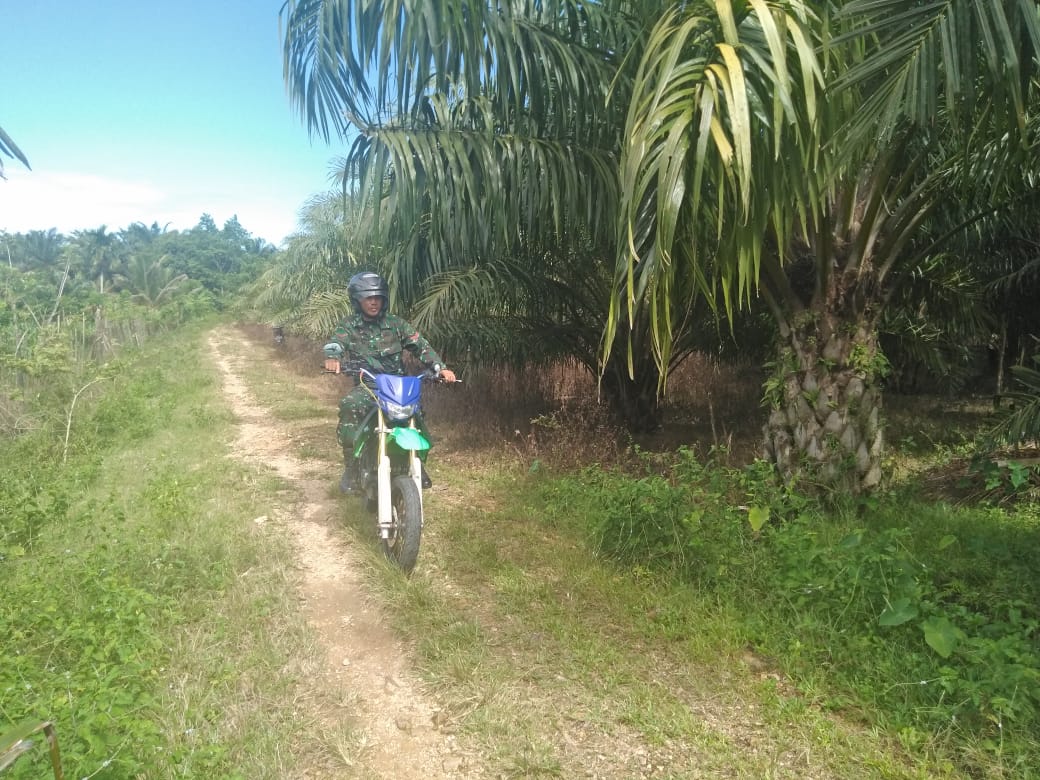 Cegah Kebakaran Hutan dan Lahan, Babinsa Lakukan Patroli