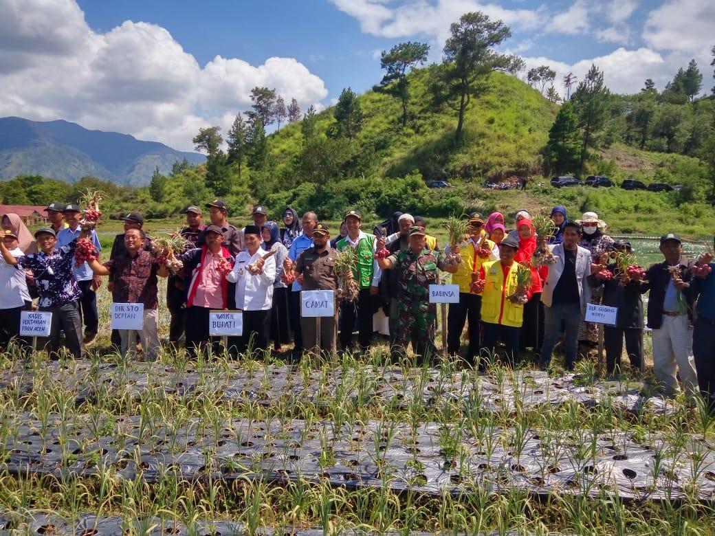 TNI-Pemda-Dinas Pertanian Aceh dan Petani Panen Perdana Bawang Putih