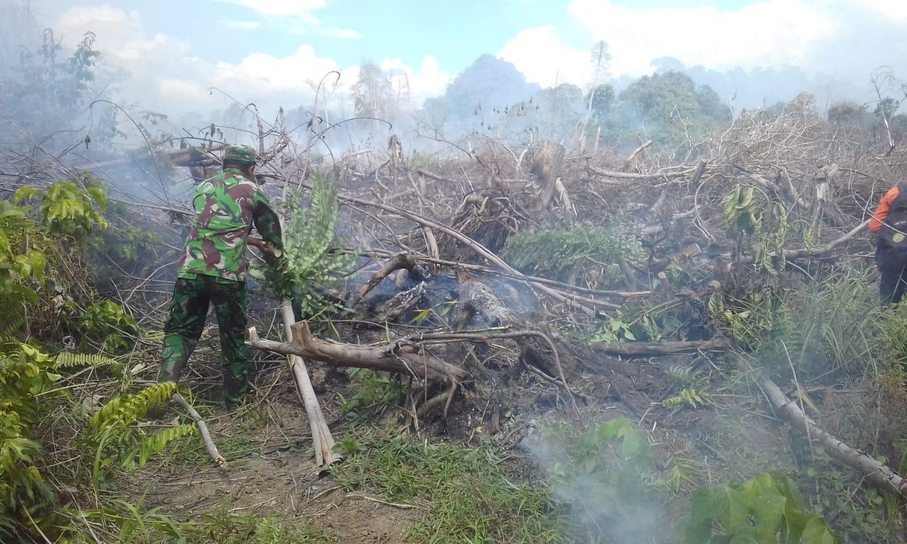 TNI  Bantu Padamkan Lahan Gambut Yang Terbakar