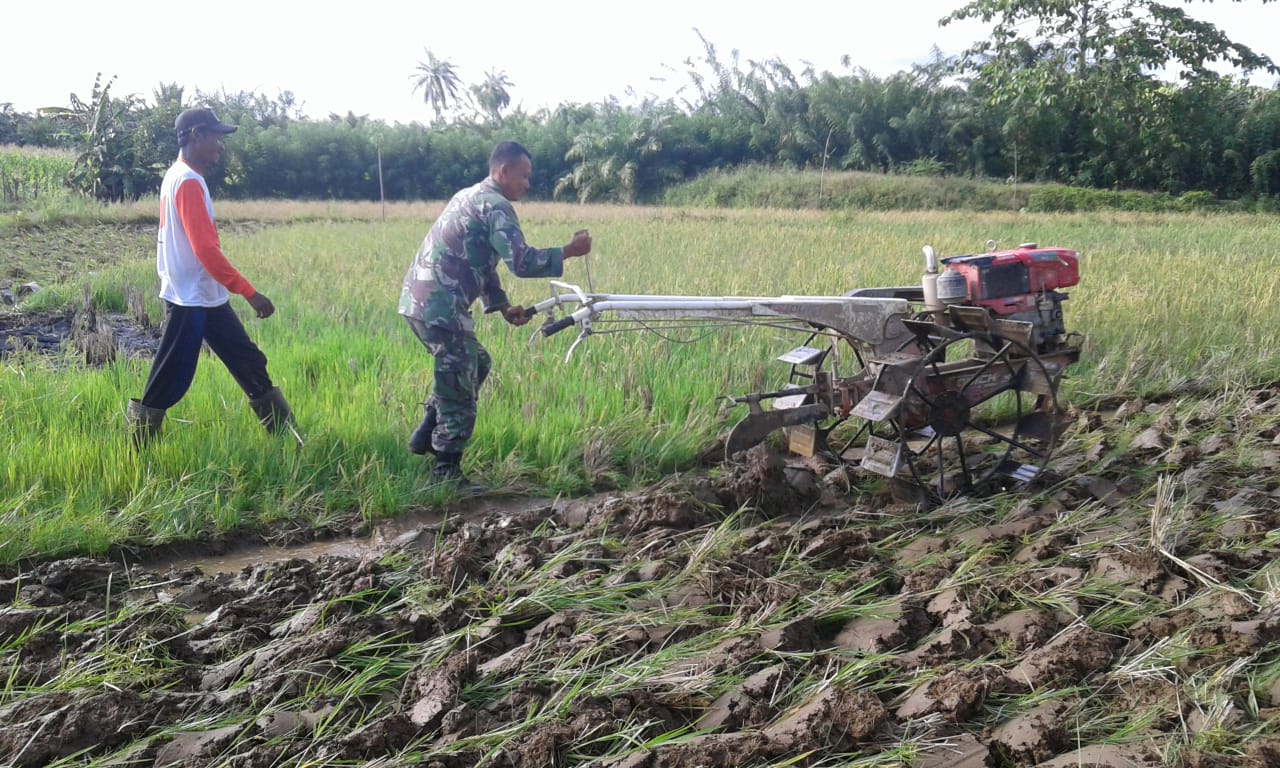 Sertu Parwoto Bantu Petani Bajak Lahan Sawah