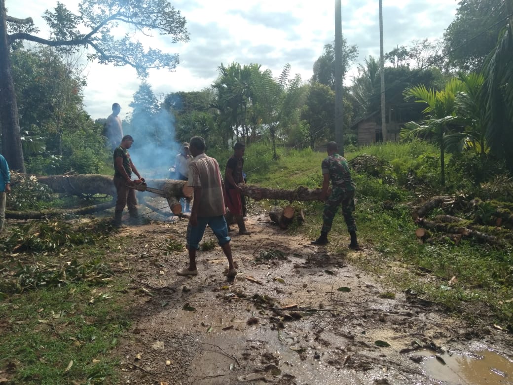Babinsa dan Warga Bersihkan Pohon Tumbang di Badan Jalan