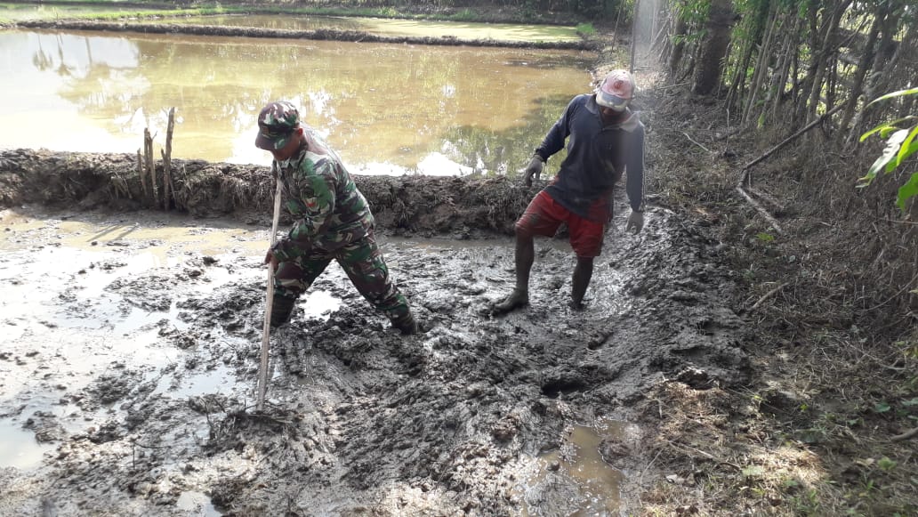 Kopda Safrizal Bantu Petani Siapkan Lahan