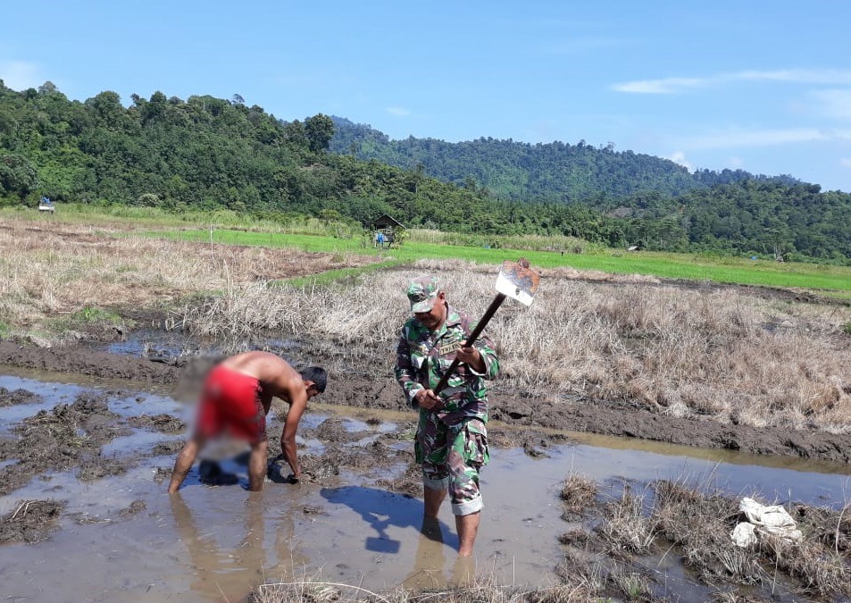 Serka Muzakir Bantu Petani Garap Sawah