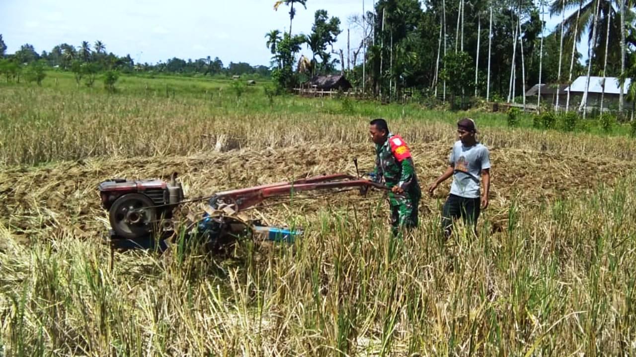 Dampingi Petani, Sertu Jajang Berbagi Pengetahuan Teknik Meningkatkan Hasil Panen