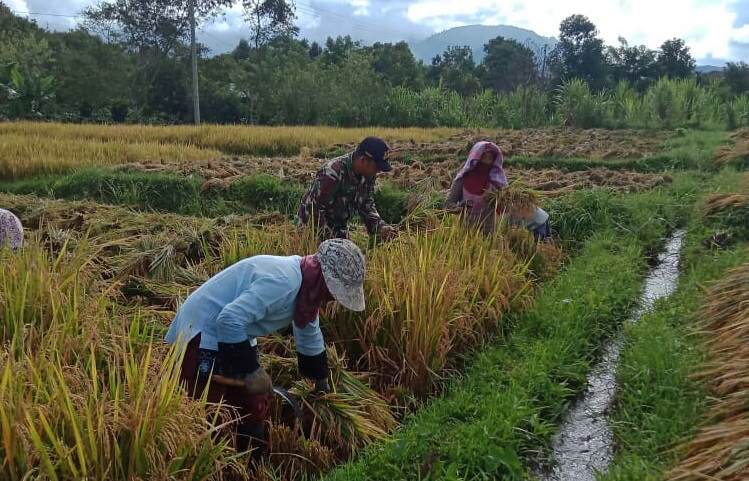 Kemanunggalan TNI-Rakyat di Bidang Pertanian