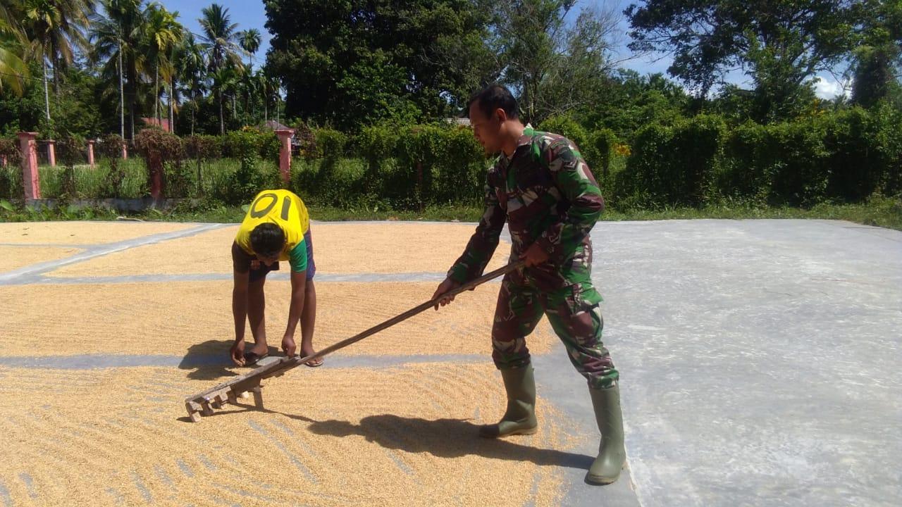 Bulan Puasa, Babinsa Bantu Petani Jemur Padi