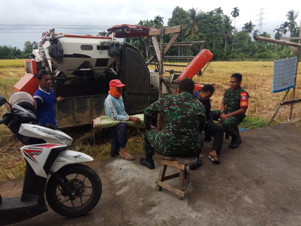 Babinsa Koramil 01/Blangpidie Laksanakan Komsos Dengan Petani