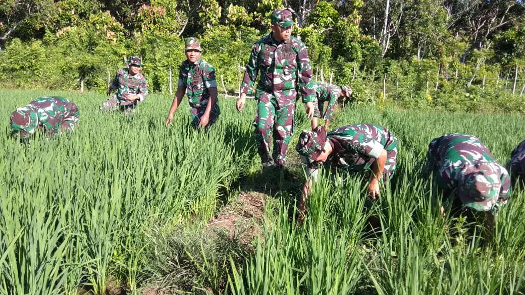 Cara Dandim Pidie Tingkatkan Kemampuan Babinsa Guna Mendukung Tugas Upsus Pertanian