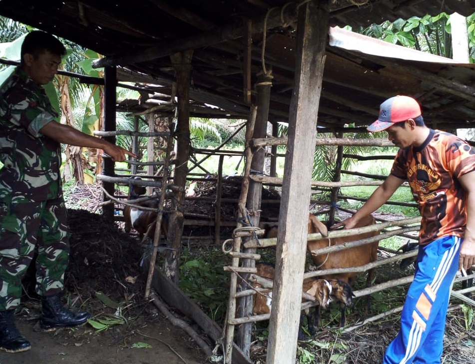 Pererat Silaturrahmi, Babinsa Komsos dengan Peternak