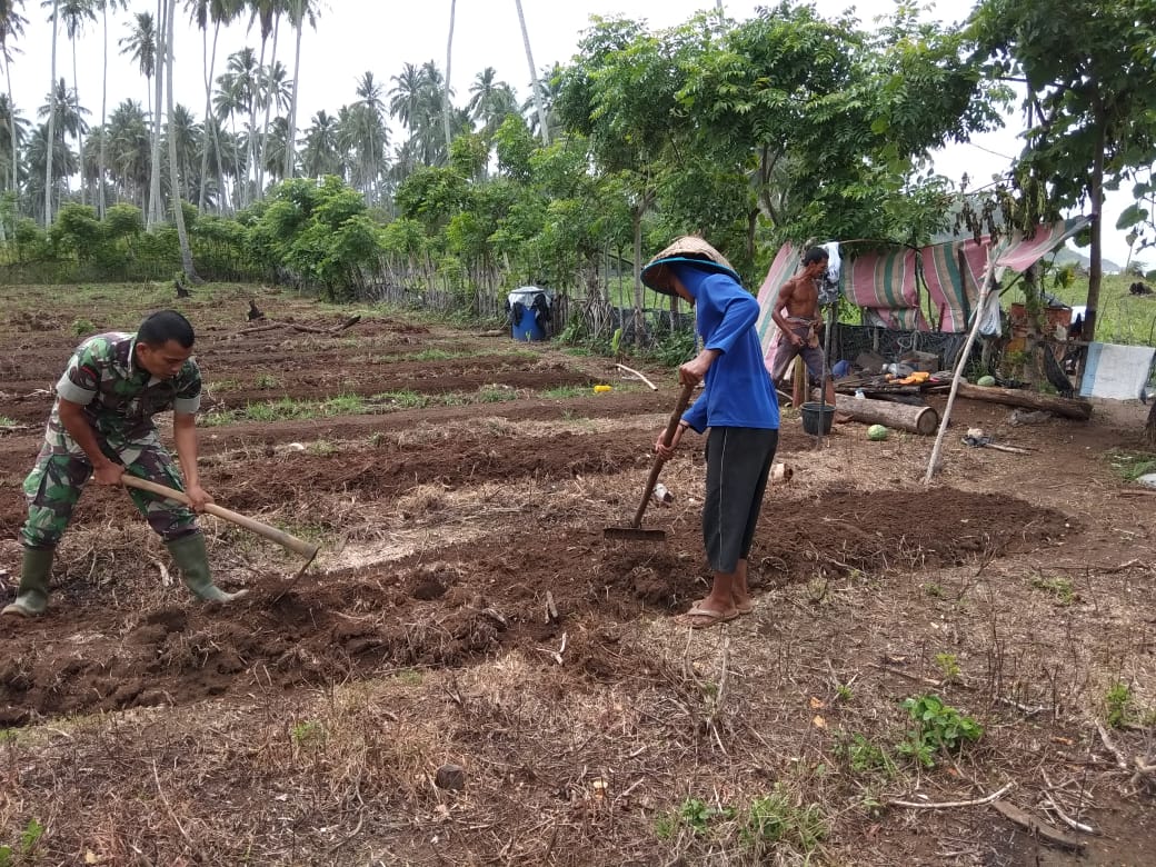 Babinsa Lamno Batu Warga Siapkan Lahan Kebun Cabai