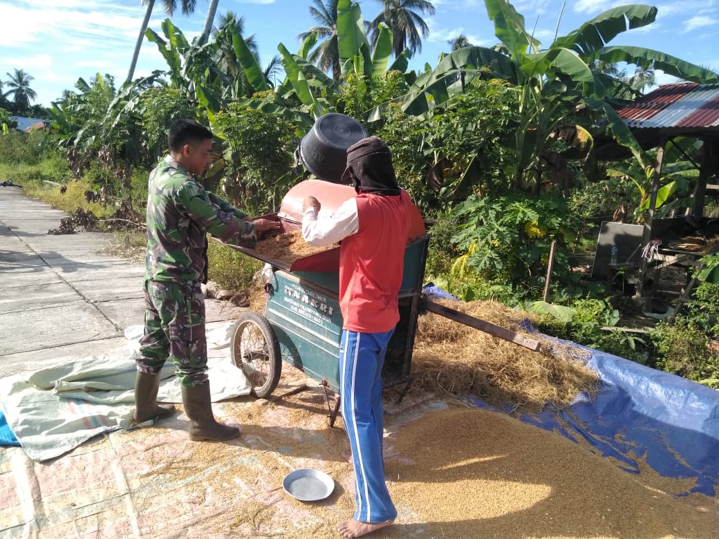 Kopda Ardika Bantu Petani Rontokkan Padi