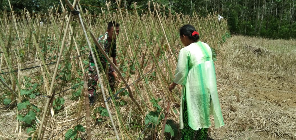 Kopda Ritonga Tinjau Kebun Timun Warga Binaan