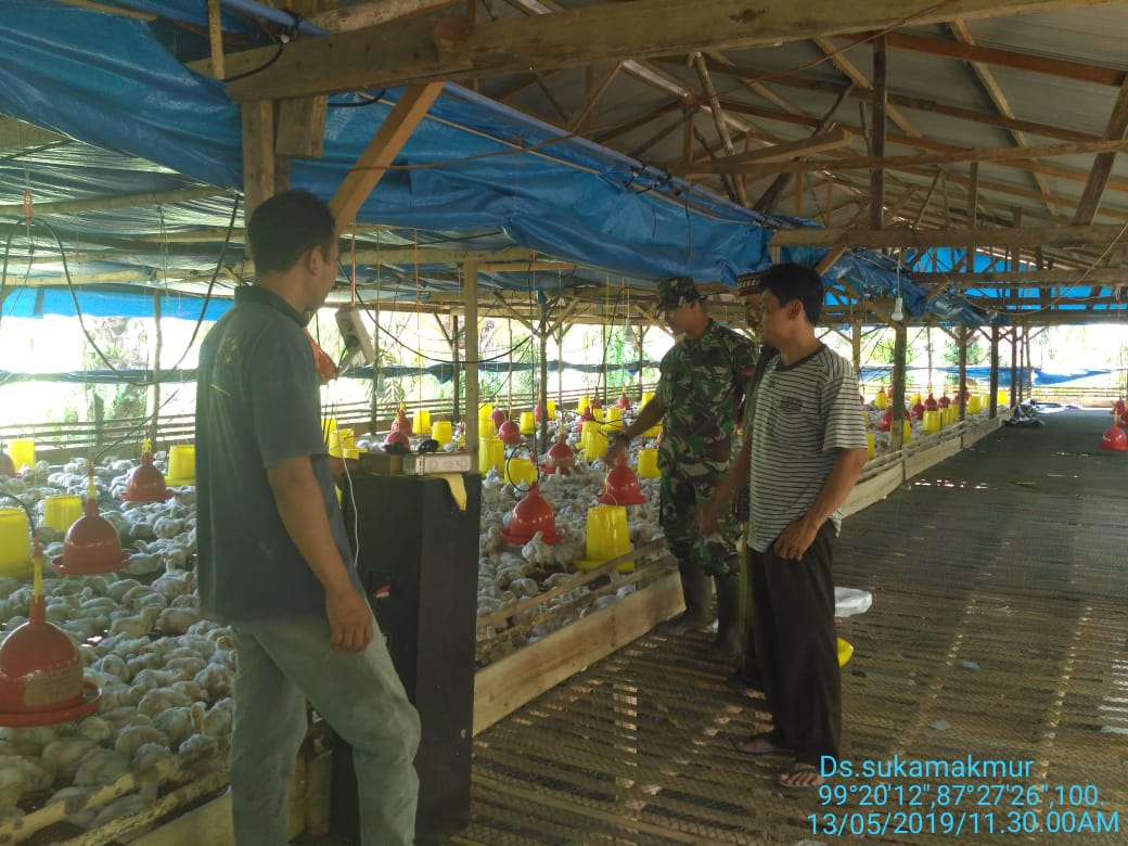 Babinsa Koramil 01/Simpang Kiri Komsos dengan Peternak Ayam