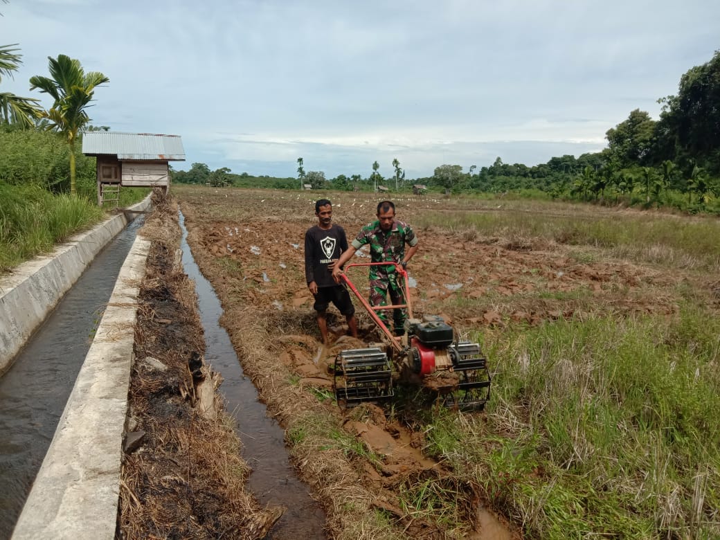 Serda Hatta Bajak Sawah Petani