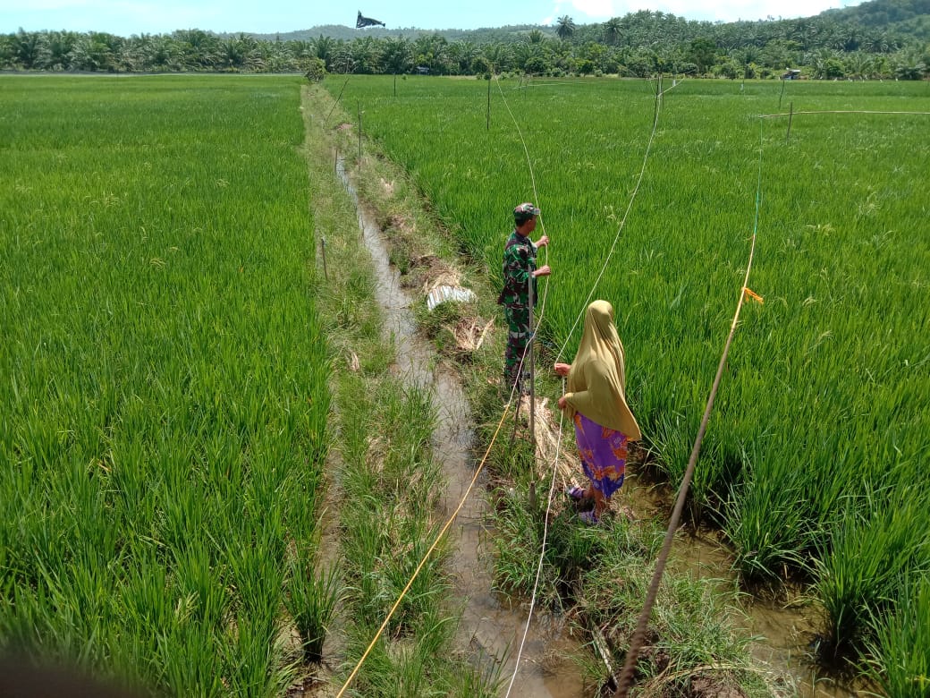 Sertu Parwoto Bantu Bu Rasidah Halau Hama Burung