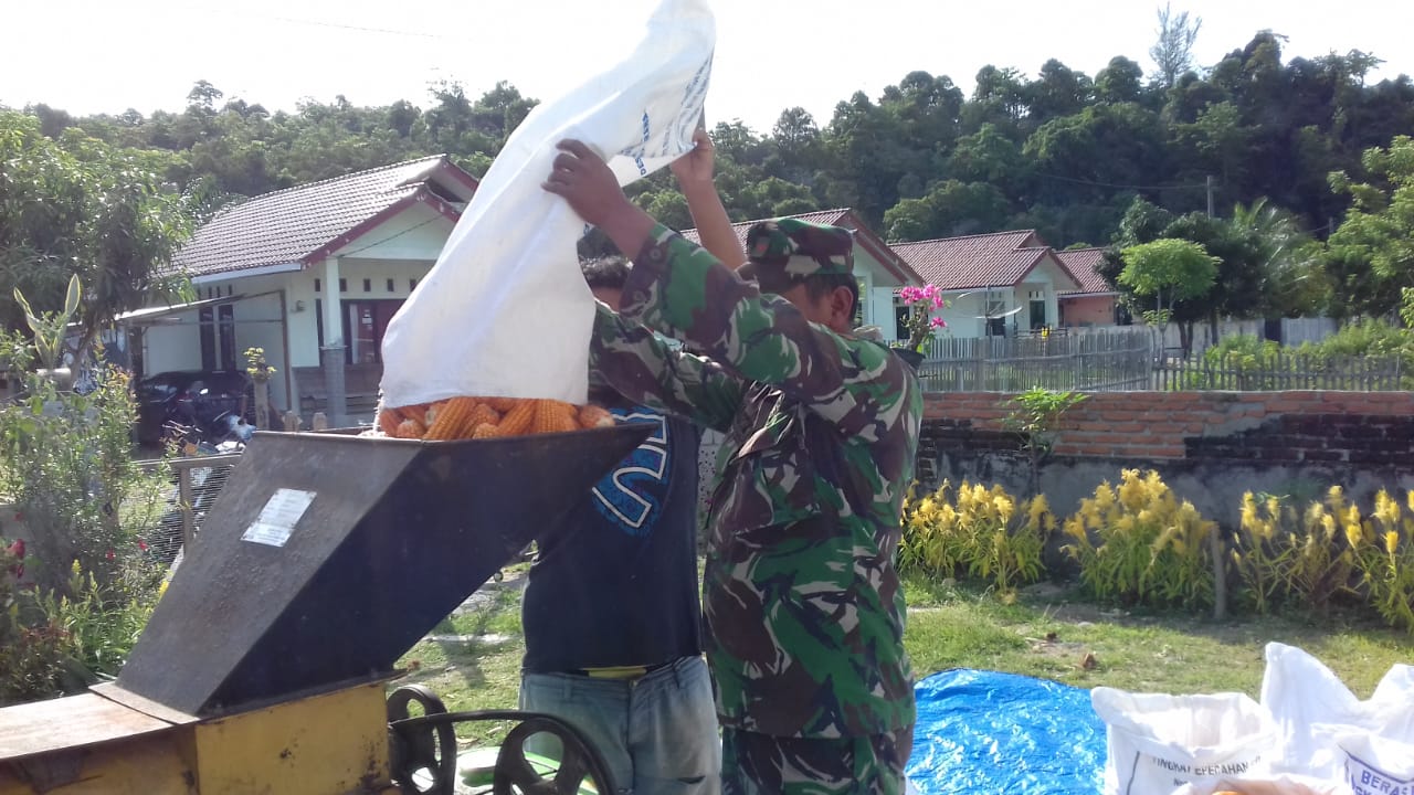 Babinsa Darul Hikmah Bantu Petani Rontokkan Jagung