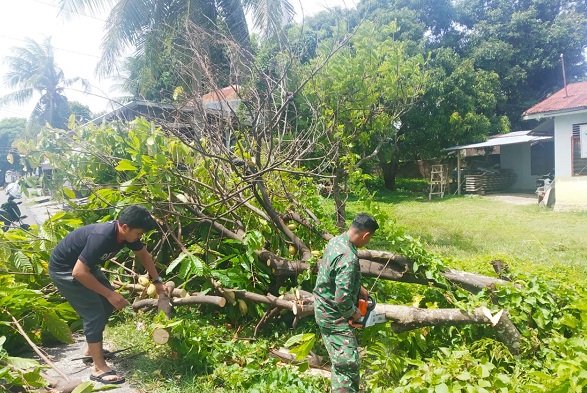 Babinsa  Kodim 0112/Sabang Ajak Masyarakat Bersihkan Pohon Tumbang