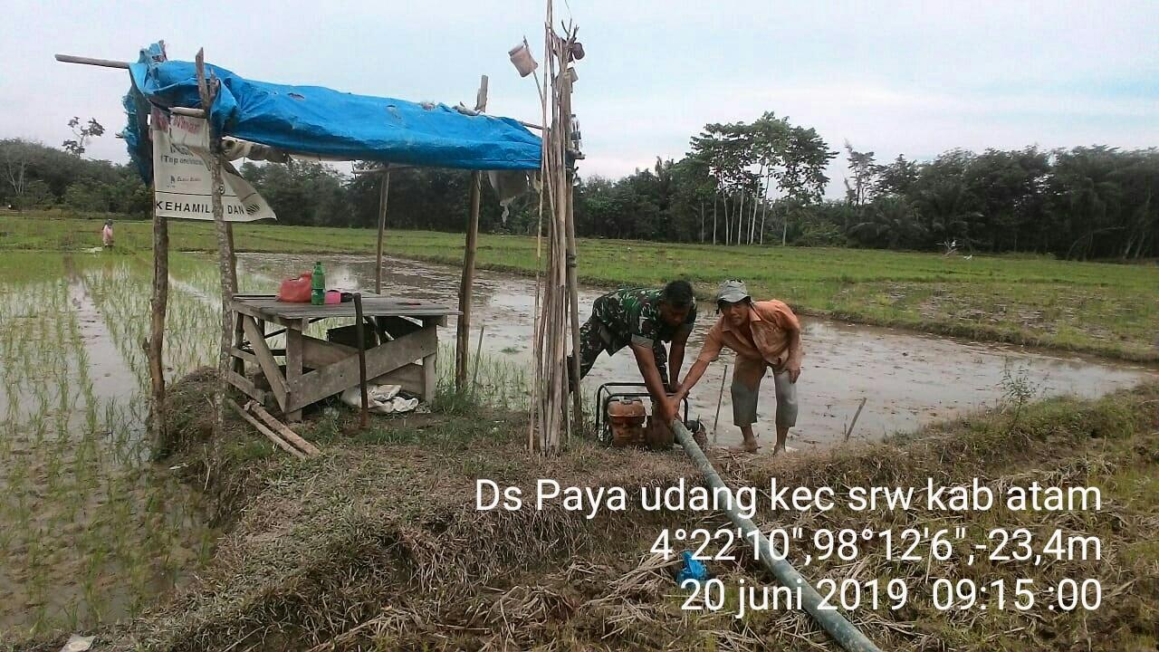 Babinsa Koramil 03/Srw Bantu Petani Mengairi Sawah dengan Mesin Pompa Air