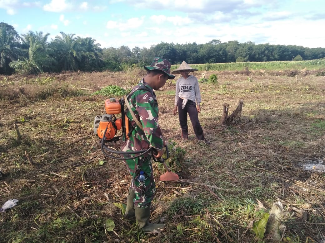 Serda Aripin Bantu Petani Jagung Bersihkan Lahan