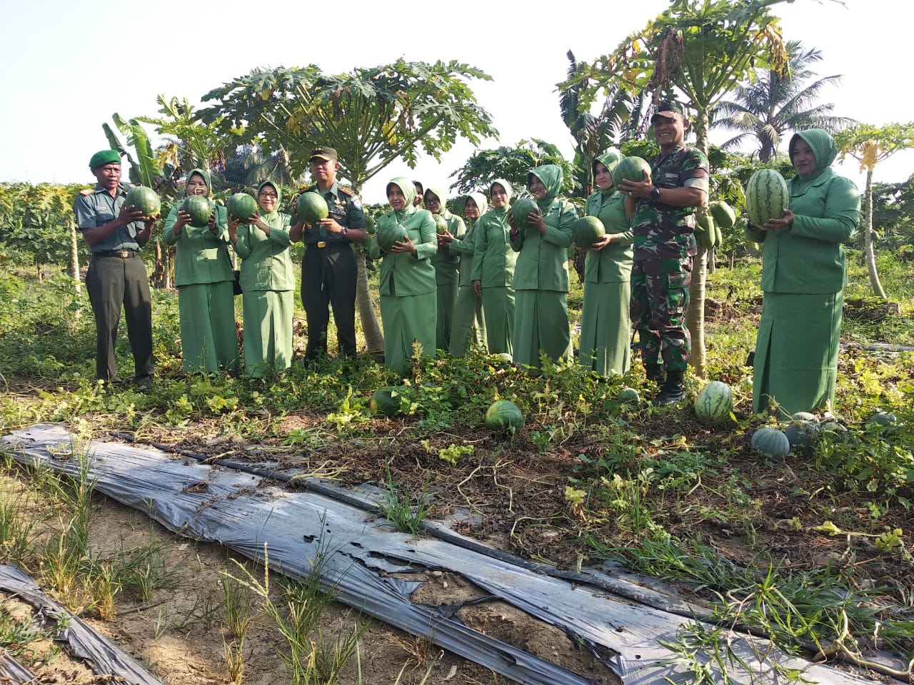 Dandim Aceh Utara Tinjau Lahan Demplot Kodim 0103