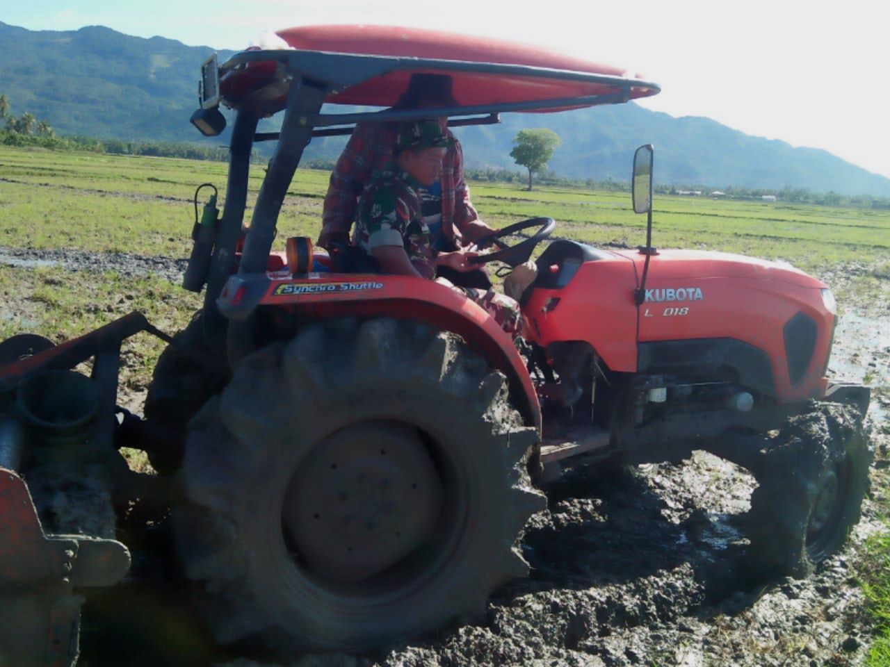 Koramil 02/Suka Makmur Konsisten Program Pendampingan Pertanian