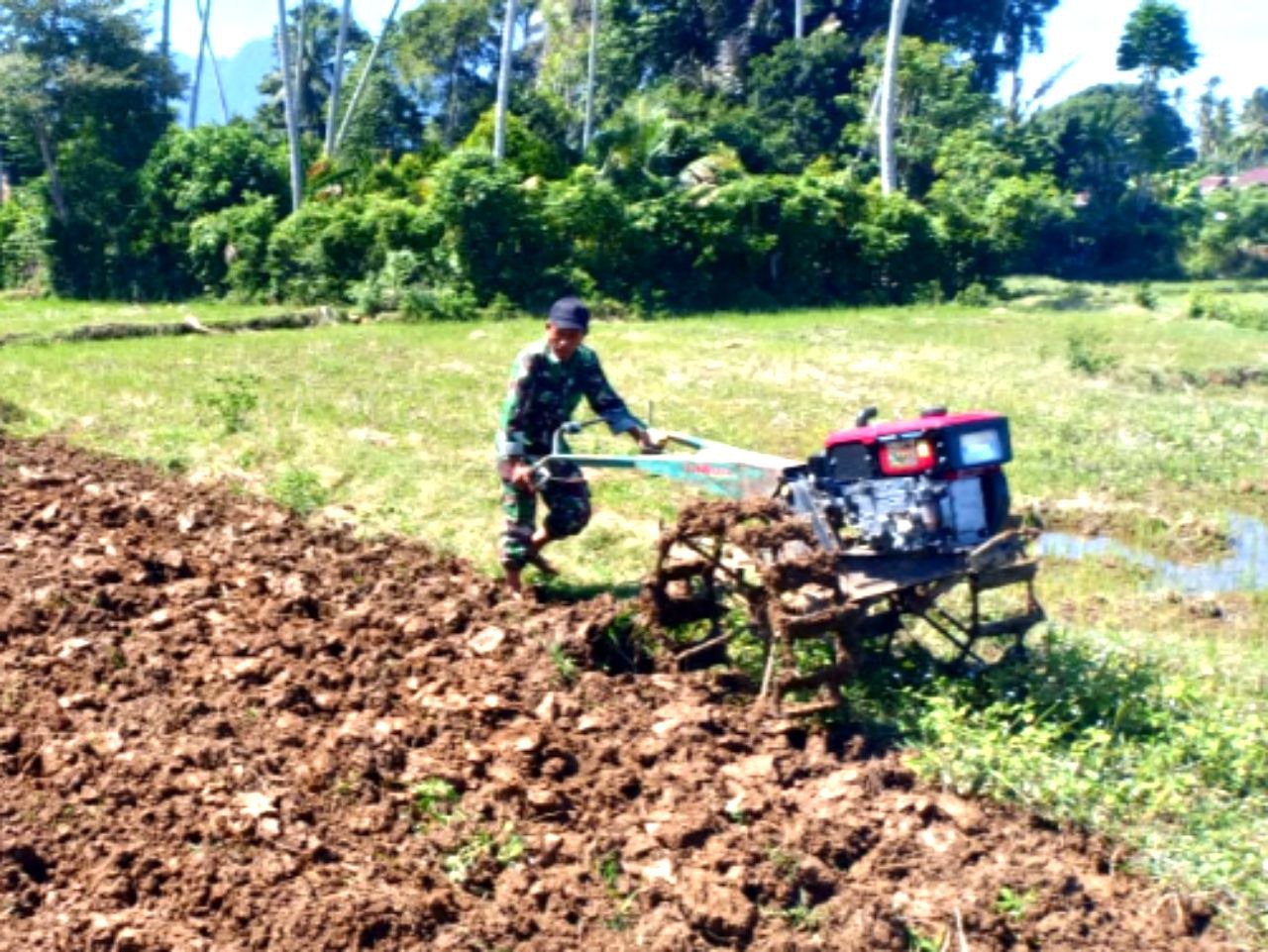 Babinsa Koramil 04/Lhoong Intensifkan Ke Sawah