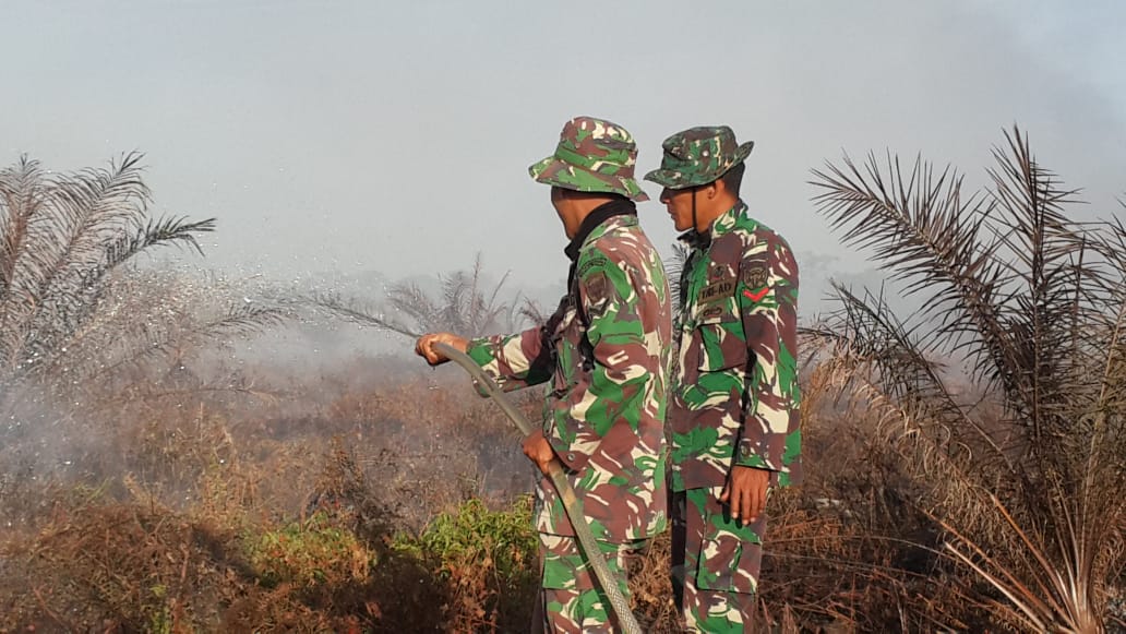 Personel Kodim Nagan Raya Padamkan Kebakaran Hutan di Tadu Raya