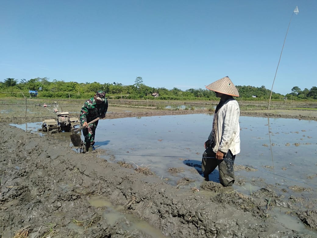 Masuk Lumpur, Kopda Widodo Bantu Petani Bajak Sawah