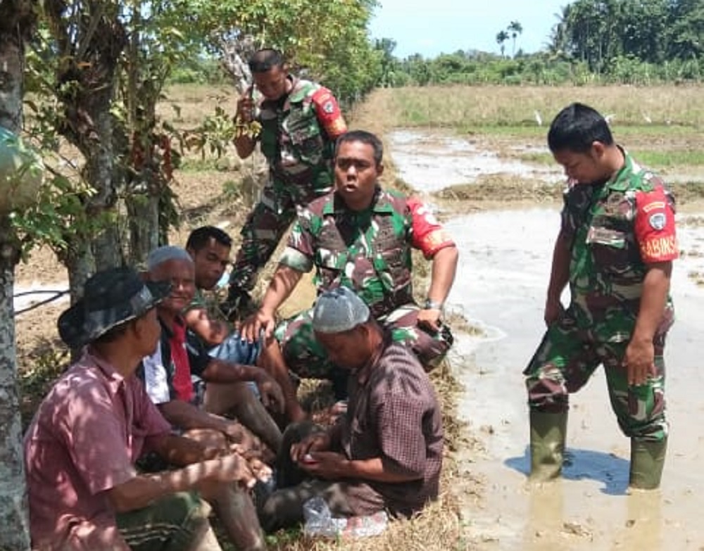 Pendampingan Melekat Adalah Kunci Utama akan Keberhasilan Ketahan Pangan
