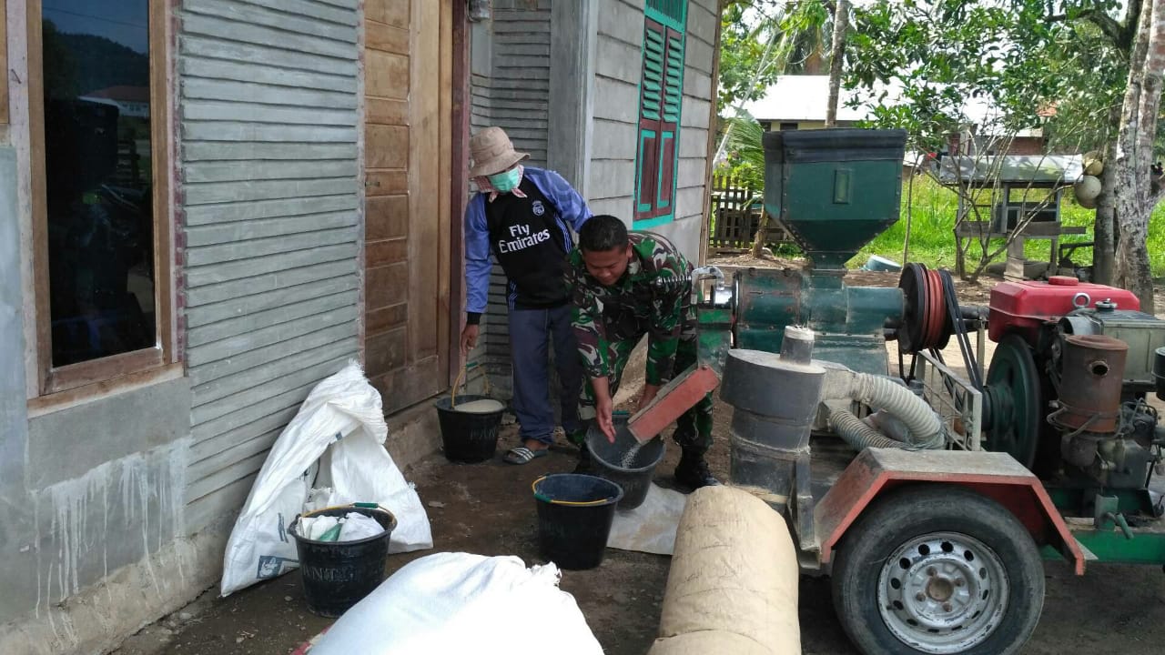 Babinsa Lamno Bantu Warga Giling Padi