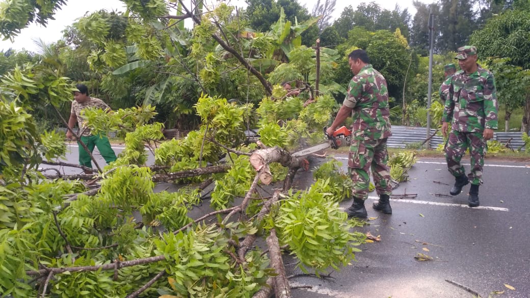 TNI Kembali Evakuasi Pohon Tumbang di Jalan