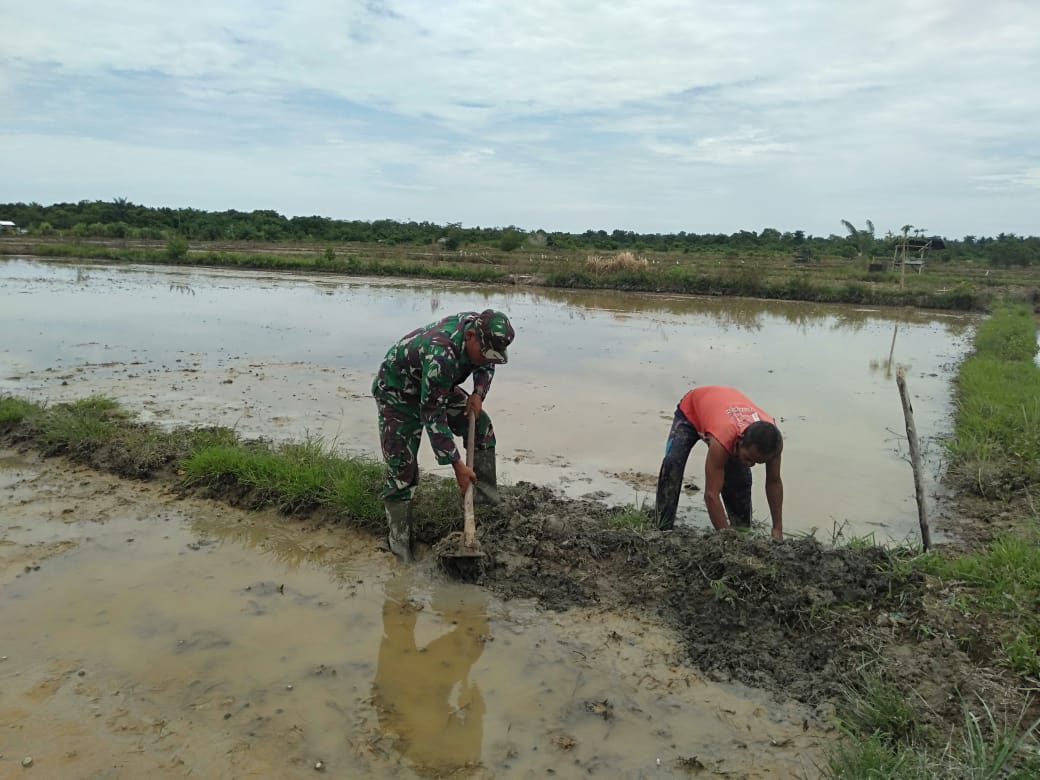 Kopda Widodo Bantu Petani Bersihkan Pematang Sawah