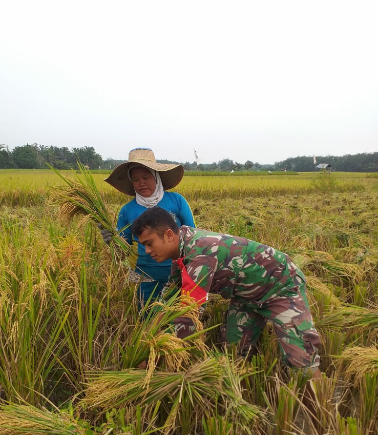 Melalui Pendampingan Pertanian, Babinsa Koramil 02/Krb Tingkatkan Pendekatan Terhadap Masyarakat