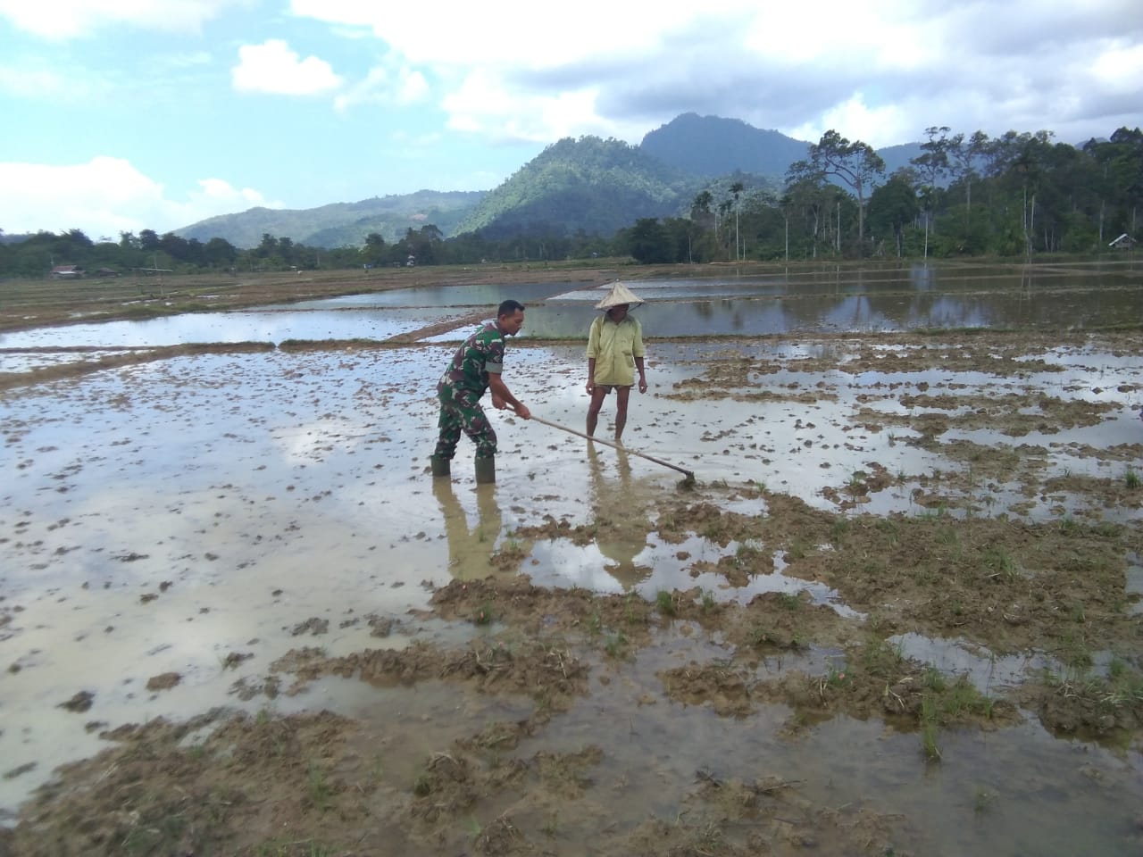 Babinsa Koramil Lamno Bantu Petani Siapkan Lahan Sawah