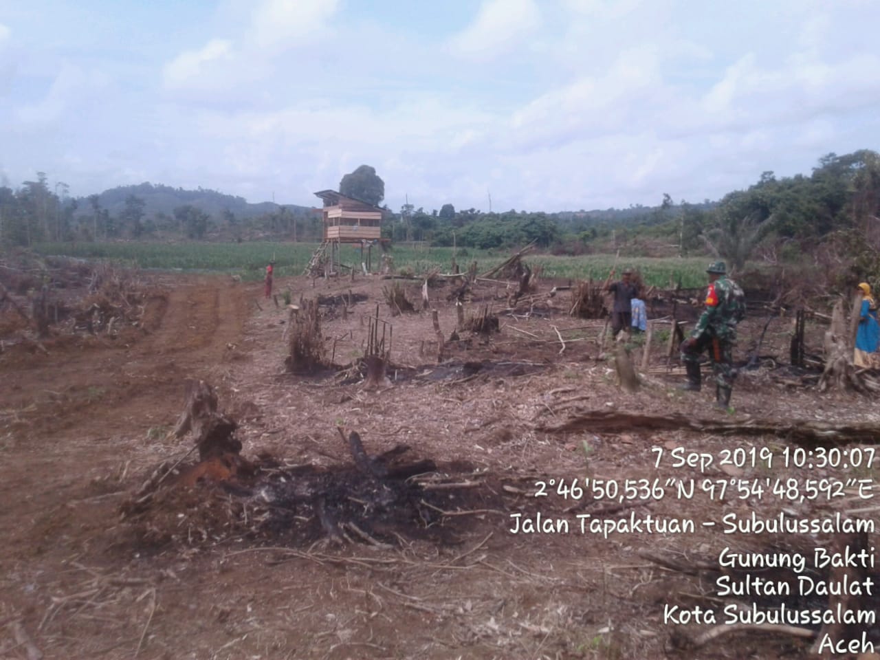 Sukseskan Program Suasembada Pangan, Babinsa Bantu Petani Tanam Jagung