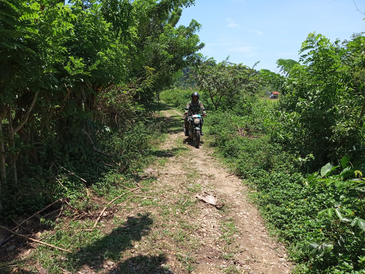 Babinsa Darul Hikmah Intensif Lakukan Patroli Karhutla