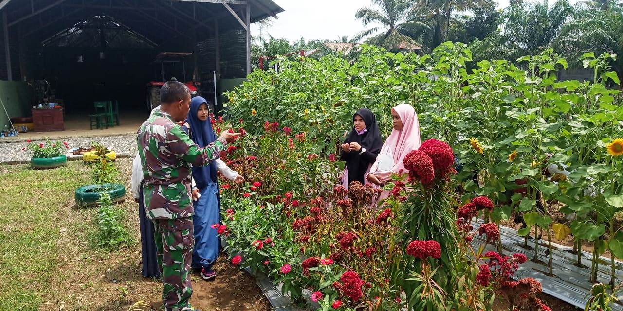 Mari Berwisata Sambil Belajar Tanaman di Koramil Model 04/Meureubo