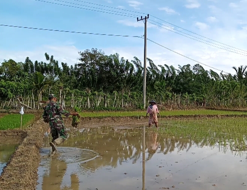 Kopda Hasan Bantu Petani Siapkan Bibit Padi