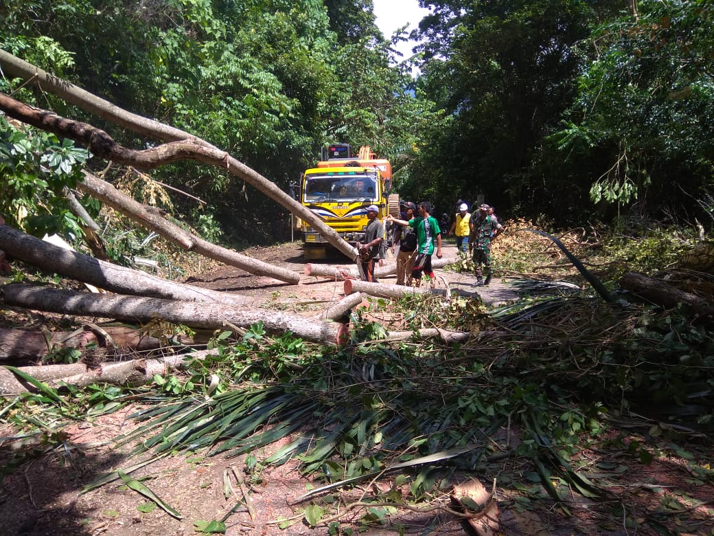 Koramil Lamno Bantu Evakuasi Pohon Tumbang di Gunung Geurute