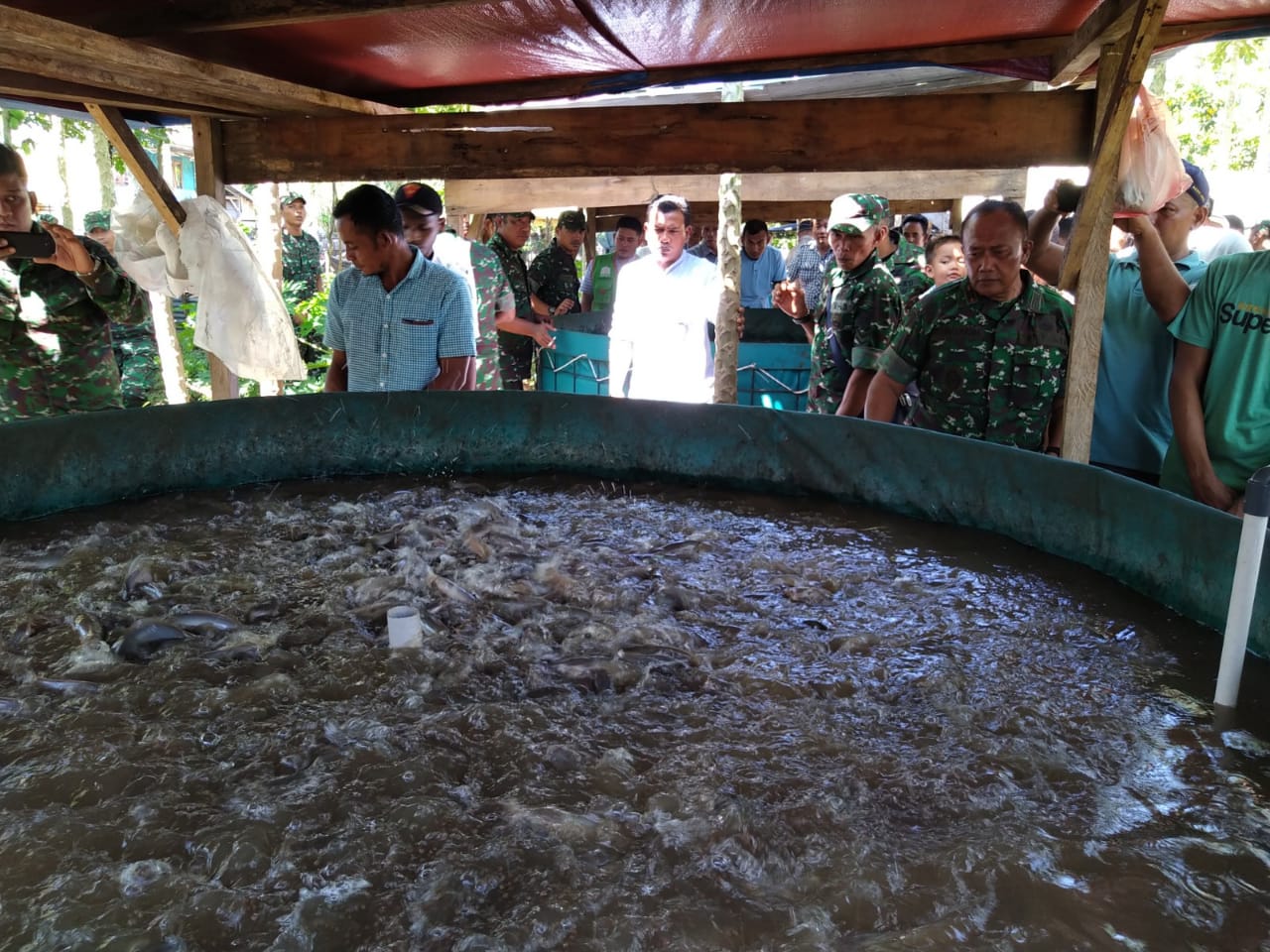 Kodim Aceh Jaya Latih Warga Budi Daya Pepaya, Jeruk dan Lele