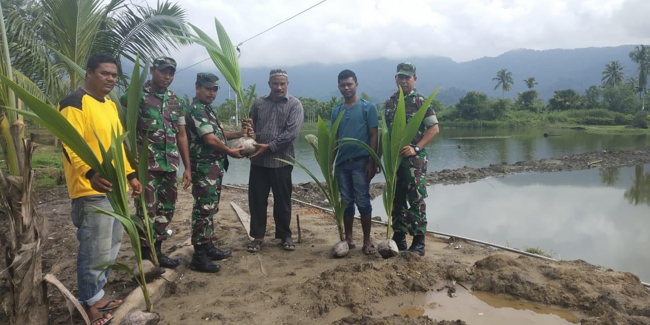 Koramil Lamno Serahkan Bibit Kelapa Hibrida Kepada Warga