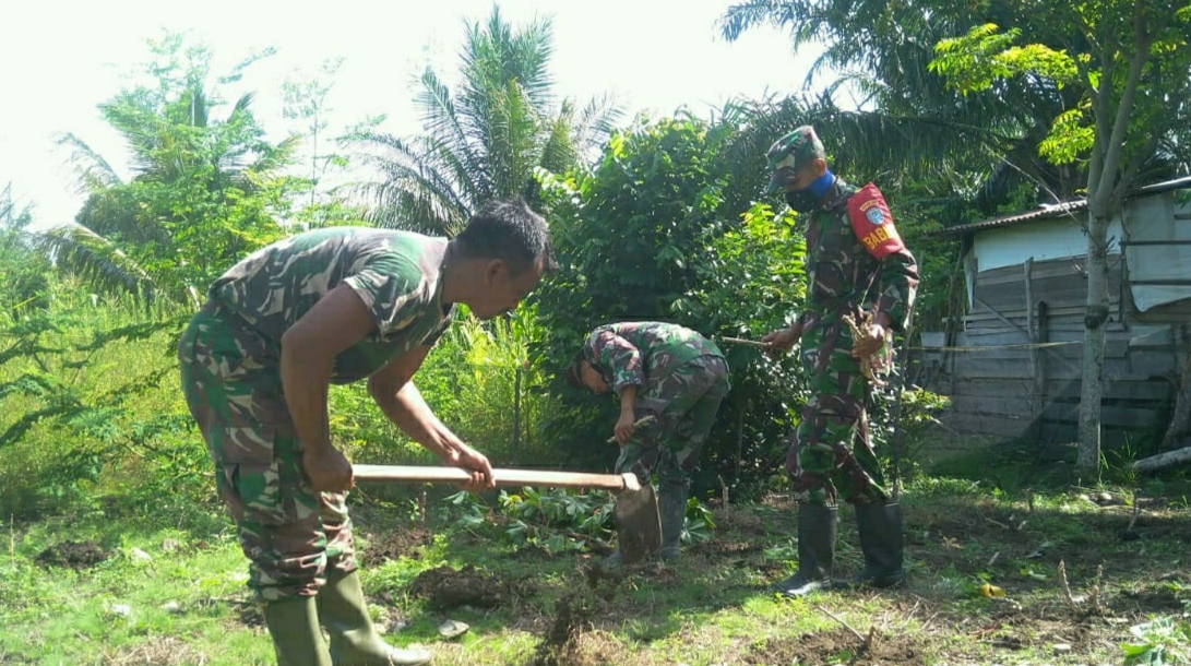 Personil Koramil 08/Bakongan Sulap Lahan Kosong Jadi Lahan Produktif