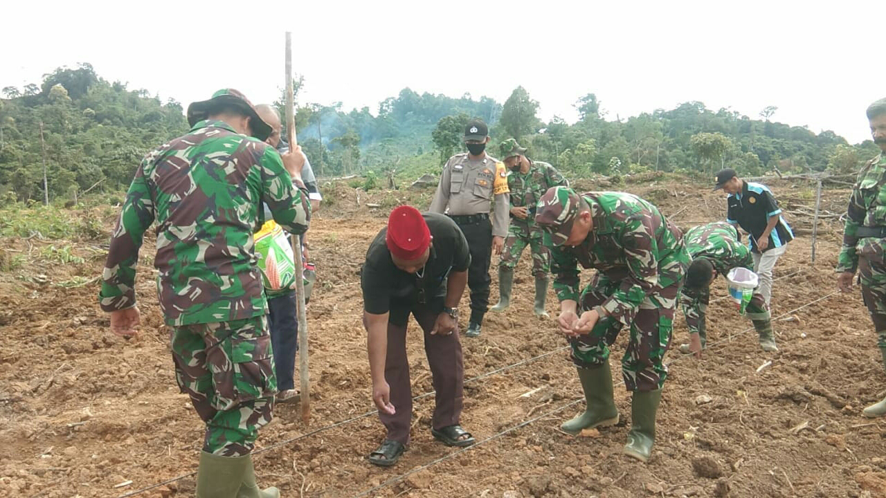 Dandim Pidie Tinjau Lahan Demplot di Kecamatan Geumpang