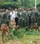 Kapaldam IM Memberi Bantuan 3 (tiga) ekor kambing