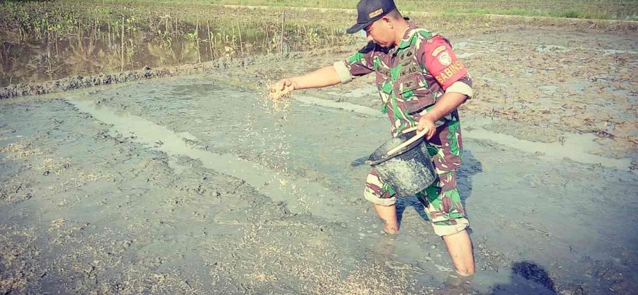 Diluar Jam Dinas, Prajurit TNI Ini Isi Waktu Luang dengan Bertani