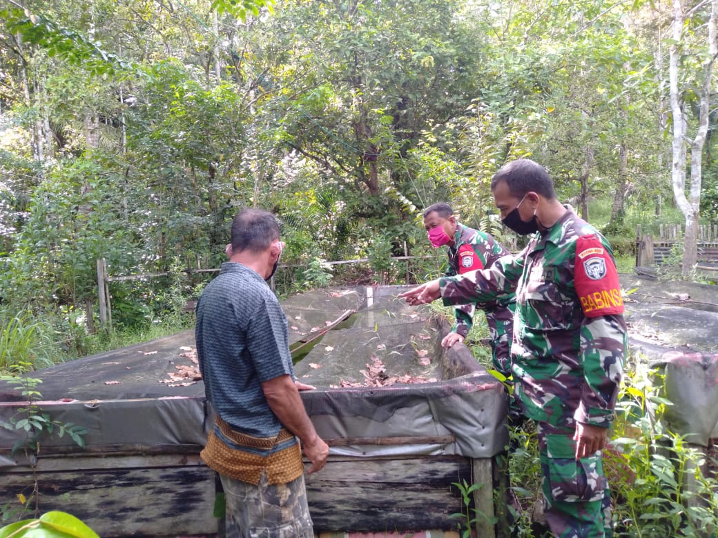 Koramil 01/Simeulue Timur Lakukan Pendampingan Budidaya Ikan Lele Sistem Bioflok