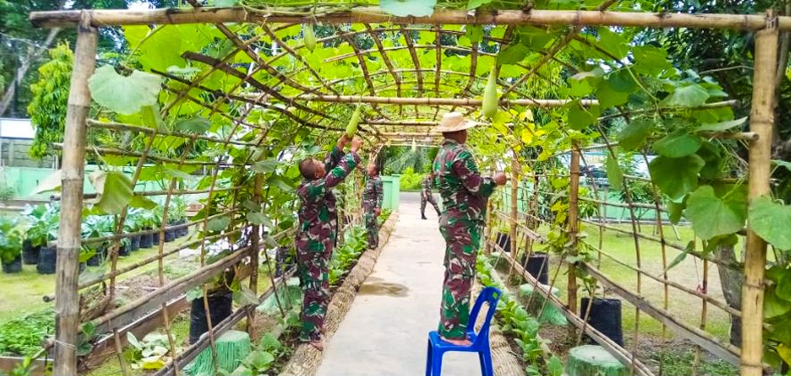 Melalui Gerakan KRPL Koramil 11/Brb Sulap Lahan Kosong Menjadi Produktif