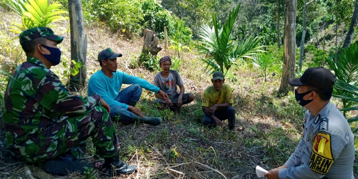 Babinsa Dan Bhabinkamtibmas Polsek Galakkan Warga Desa Binaan di Sektor Pertanian Dengan Tetap Memperhatikan Kelestarian Hutan
