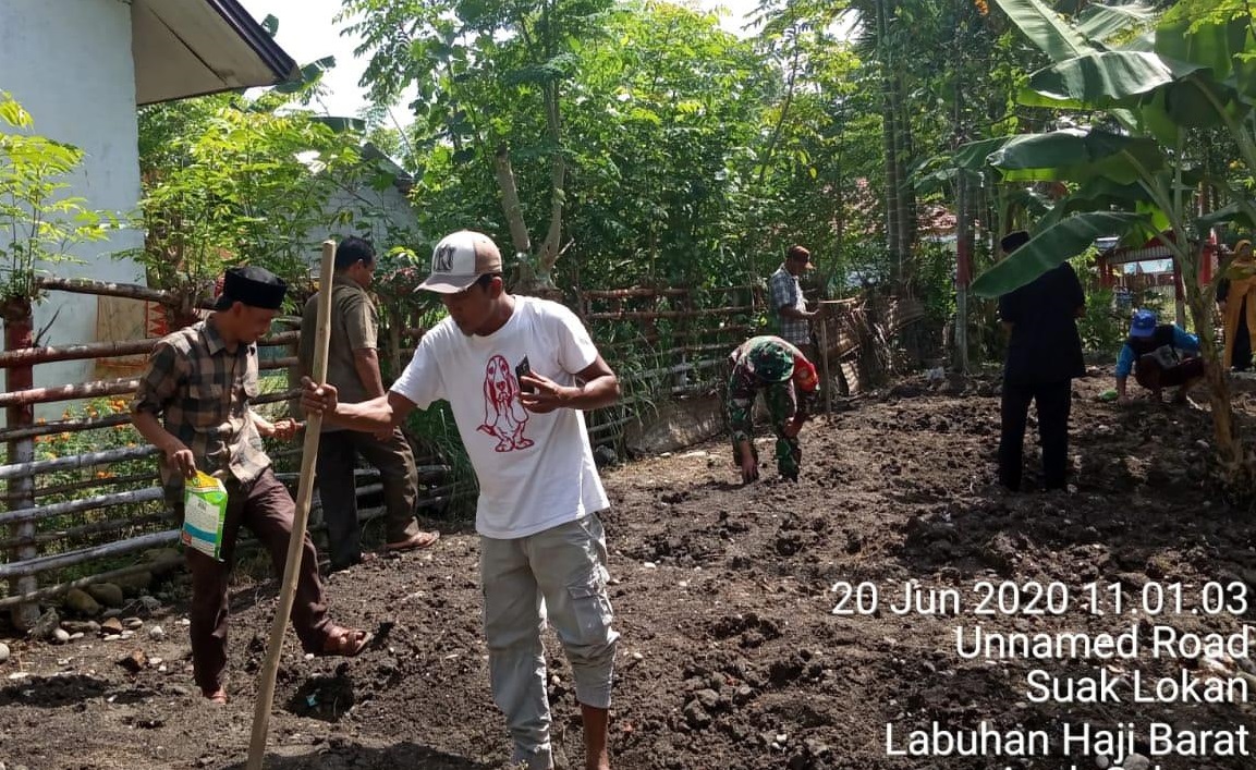 Serda Sayuti Tanami Sayuran di Kebunan Percontohan Desa